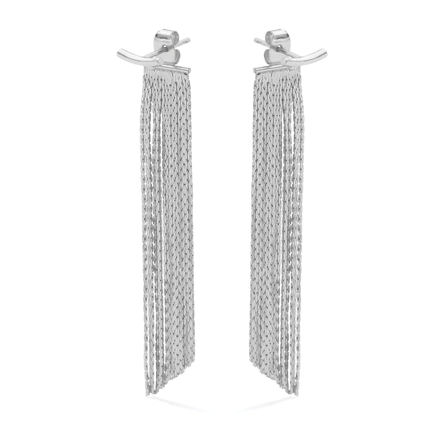 Back Accented Long Earrings