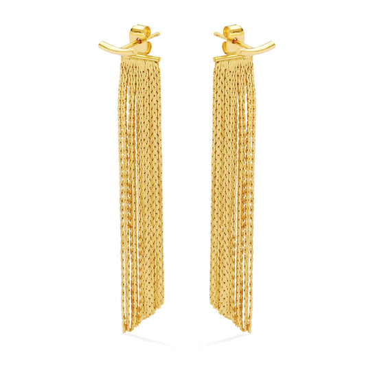 Back Accented Long Earrings