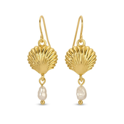 Gold shell earrings with pearl drops on a white background