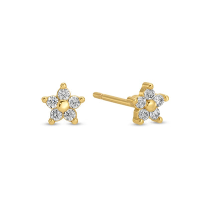 Delicate Flower Studs on Velvet Tag