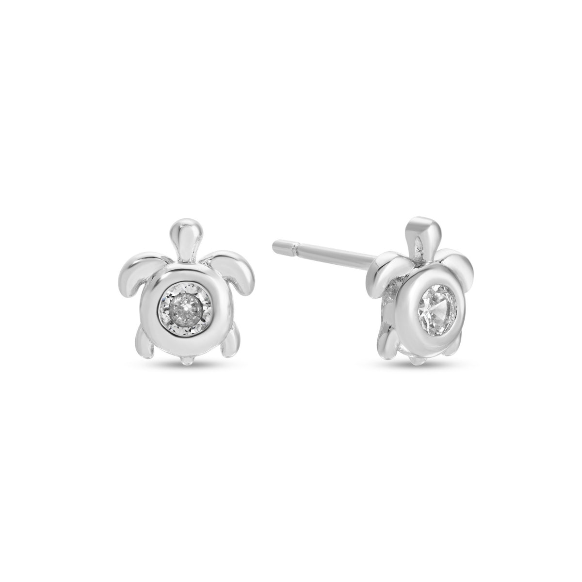 Turtle Studs on Velvet Tag