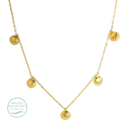 Delicate Shell Collar Necklace, Water-Resistant
