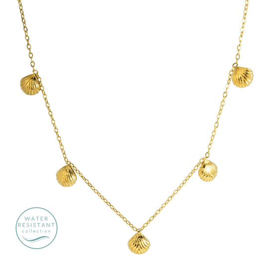 Delicate Shell Collar Necklace, Water-Resistant