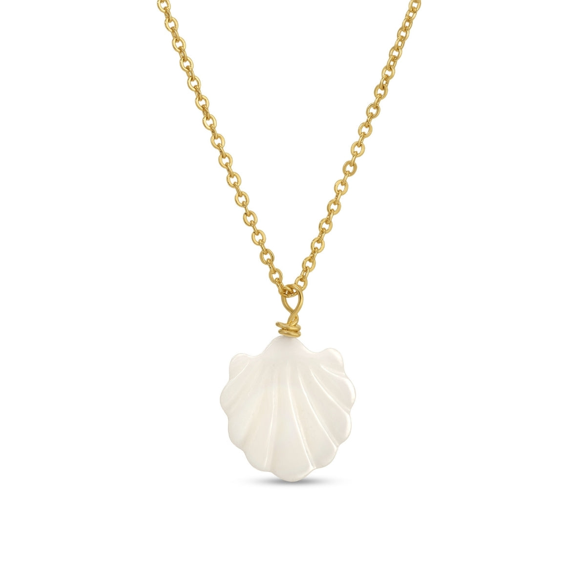 Necklace with a white shell pendant on a gold chain against a white background