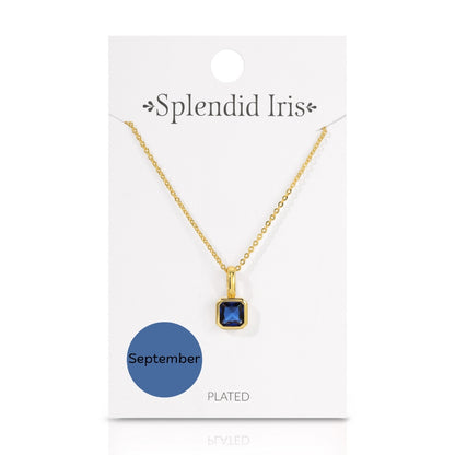 Set/24 Birthstone Solitaire Necklaces