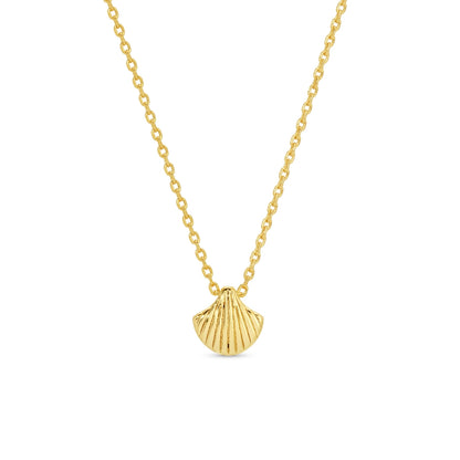 Sweetest Shell Necklace