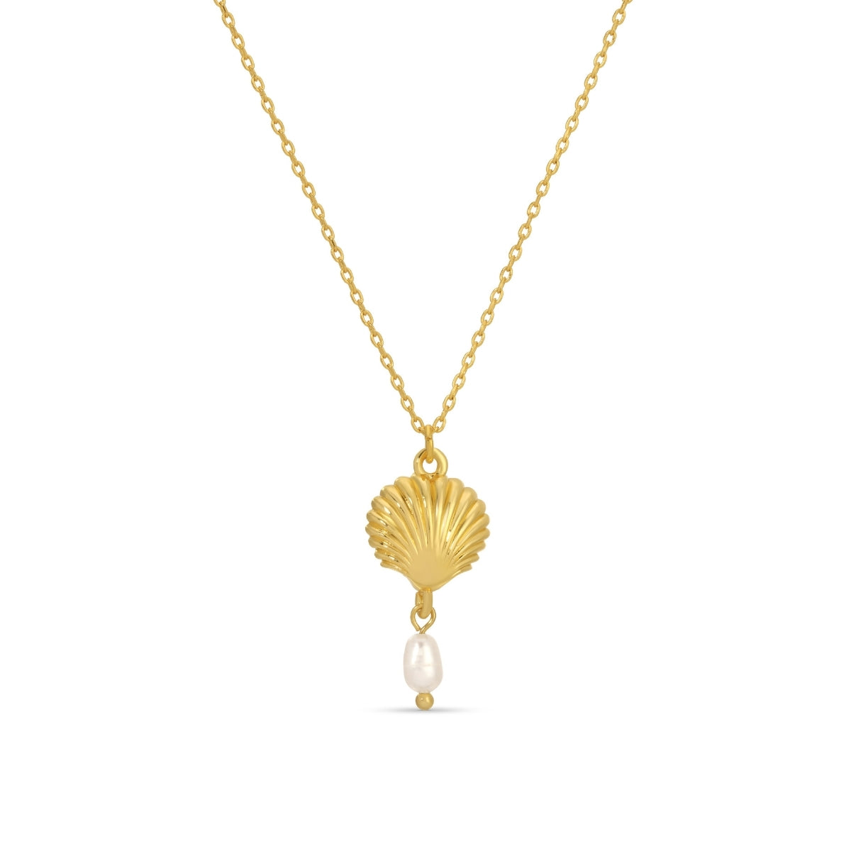 Gold necklace with a shell pendant and pearl on a white background