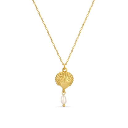 Gold necklace with a shell pendant and pearl on a white background
