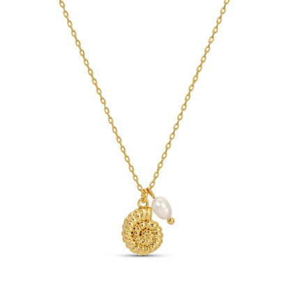 Gold necklace with a pearl pendant on a white background