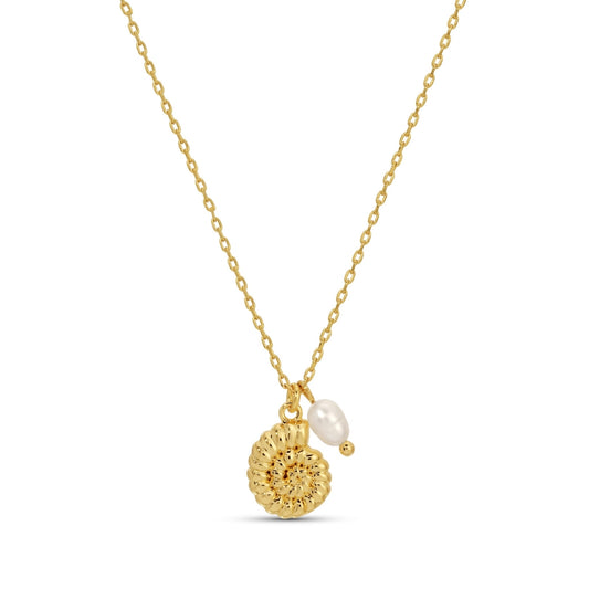 Gold necklace with a pearl pendant on a white background