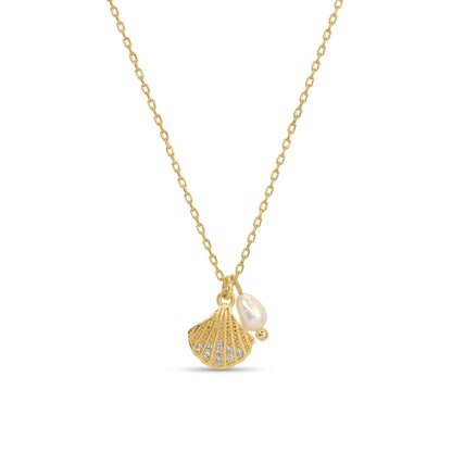 Gold necklace with shell and pearl pendant on a white background