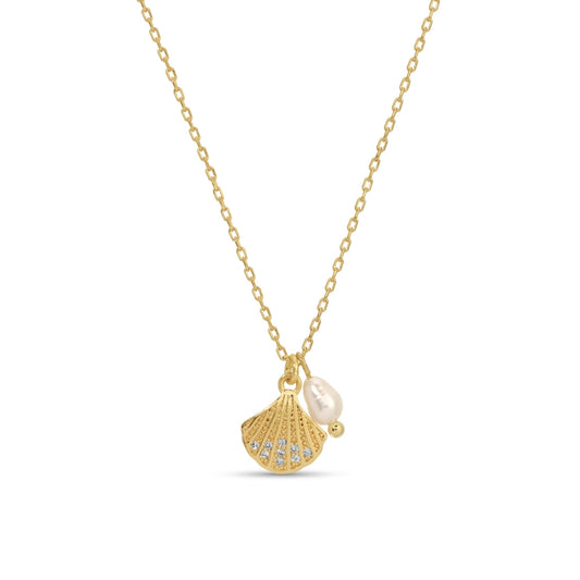 Gold necklace with shell and pearl pendant on a white background