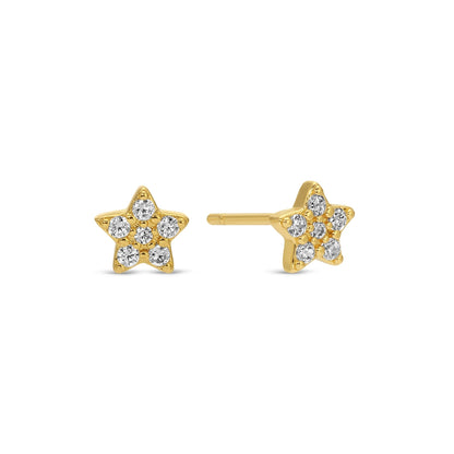 Flower Velvet Stud Gift Set